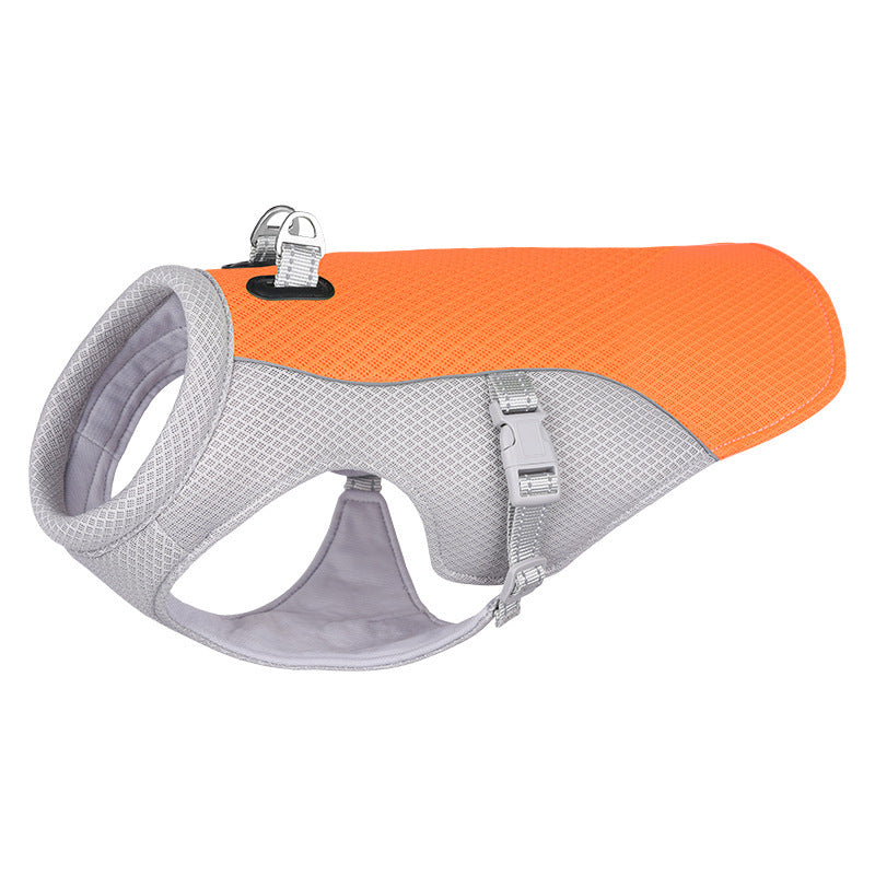 CoolPaw Vest: Keeps your dog cool and comfortable.