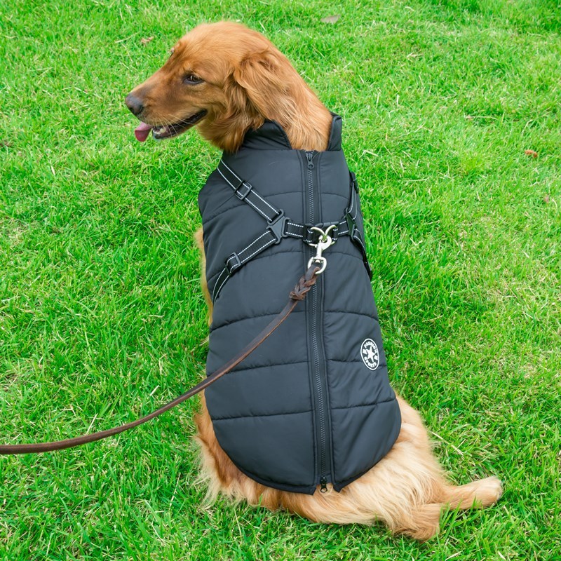 The Comfy-Fit Vest: Keeps your pet warm and secure.