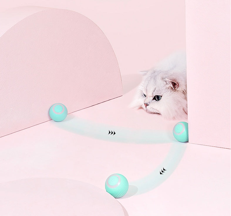 The Purrfect Pounce: A smart ball that keeps cats active and engaged.