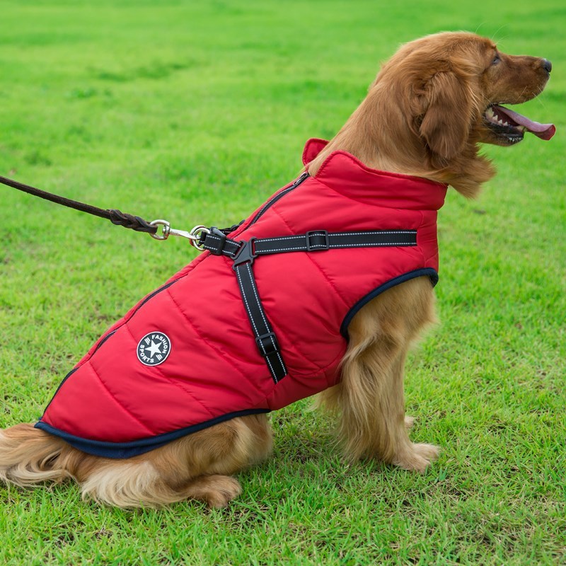 The Comfy-Fit Vest: Keeps your pet warm and secure.