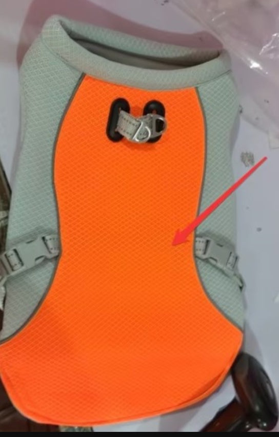 CoolPaw Vest: Keeps your dog cool and comfortable.