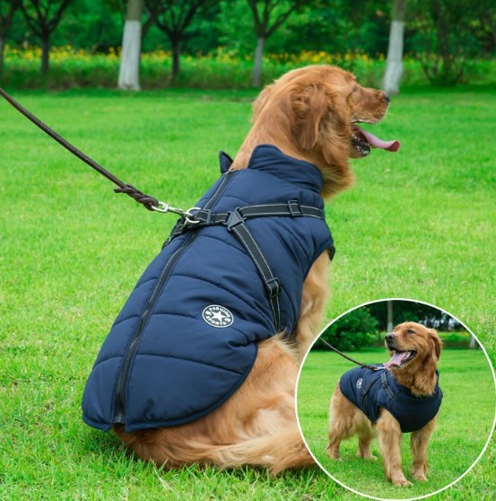 The Comfy-Fit Vest: Keeps your pet warm and secure.