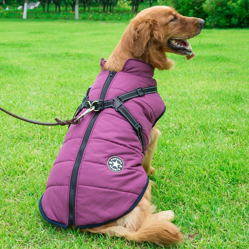 The Comfy-Fit Vest: Keeps your pet warm and secure.