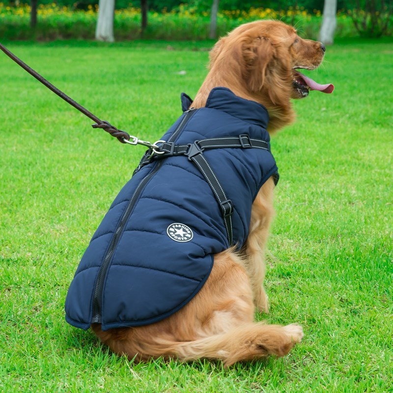 The Comfy-Fit Vest: Keeps your pet warm and secure.