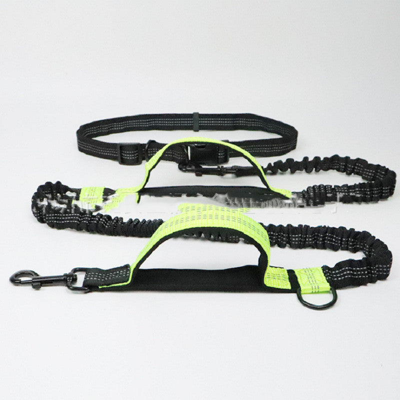 All-in-One Pet Traction Rope