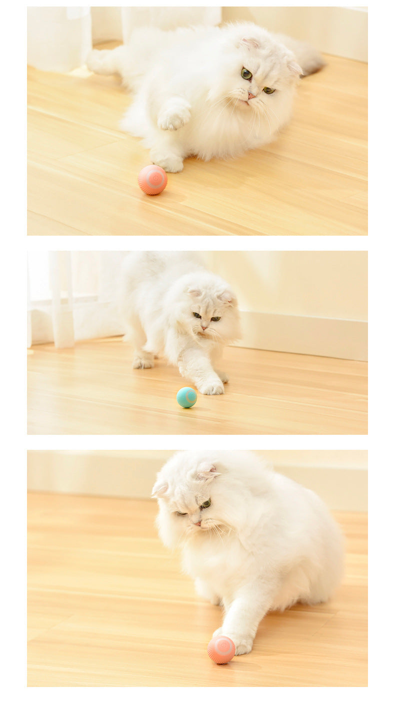 The Purrfect Pounce: A smart ball that keeps cats active and engaged.