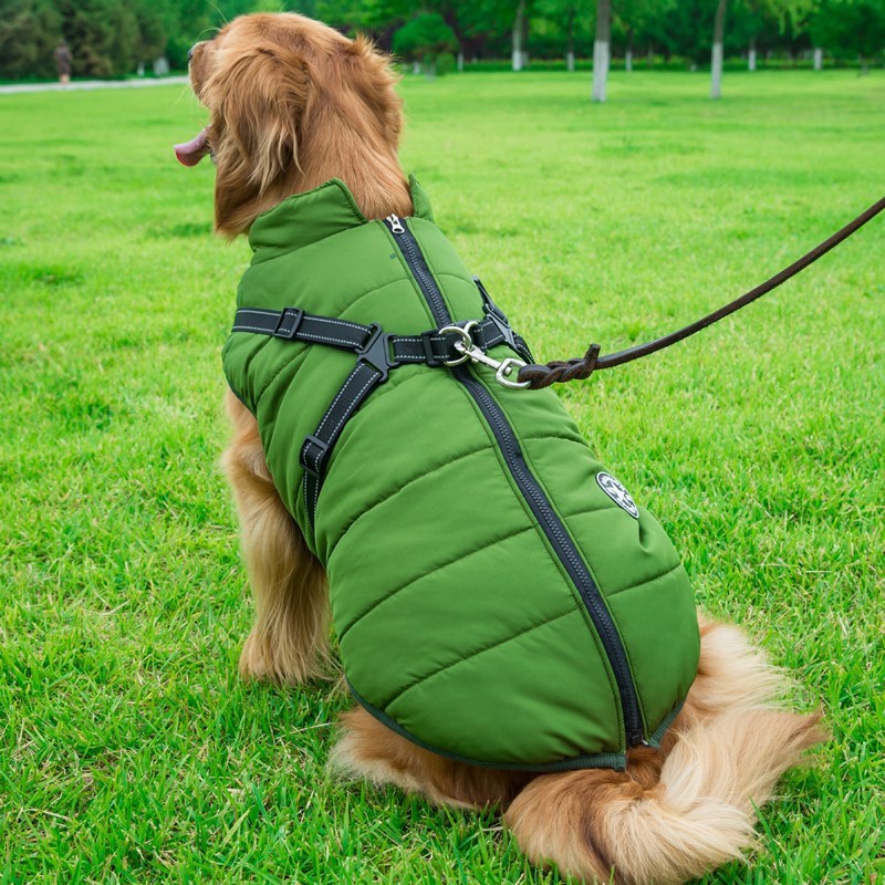 The Comfy-Fit Vest: Keeps your pet warm and secure.