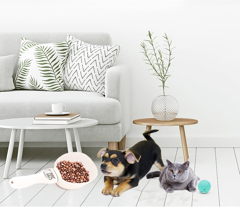 The SmartScoop: Ensures a perfectly balanced diet.