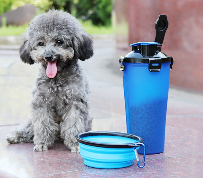 The Paw Traveler: Hydrate your pet anywhere.