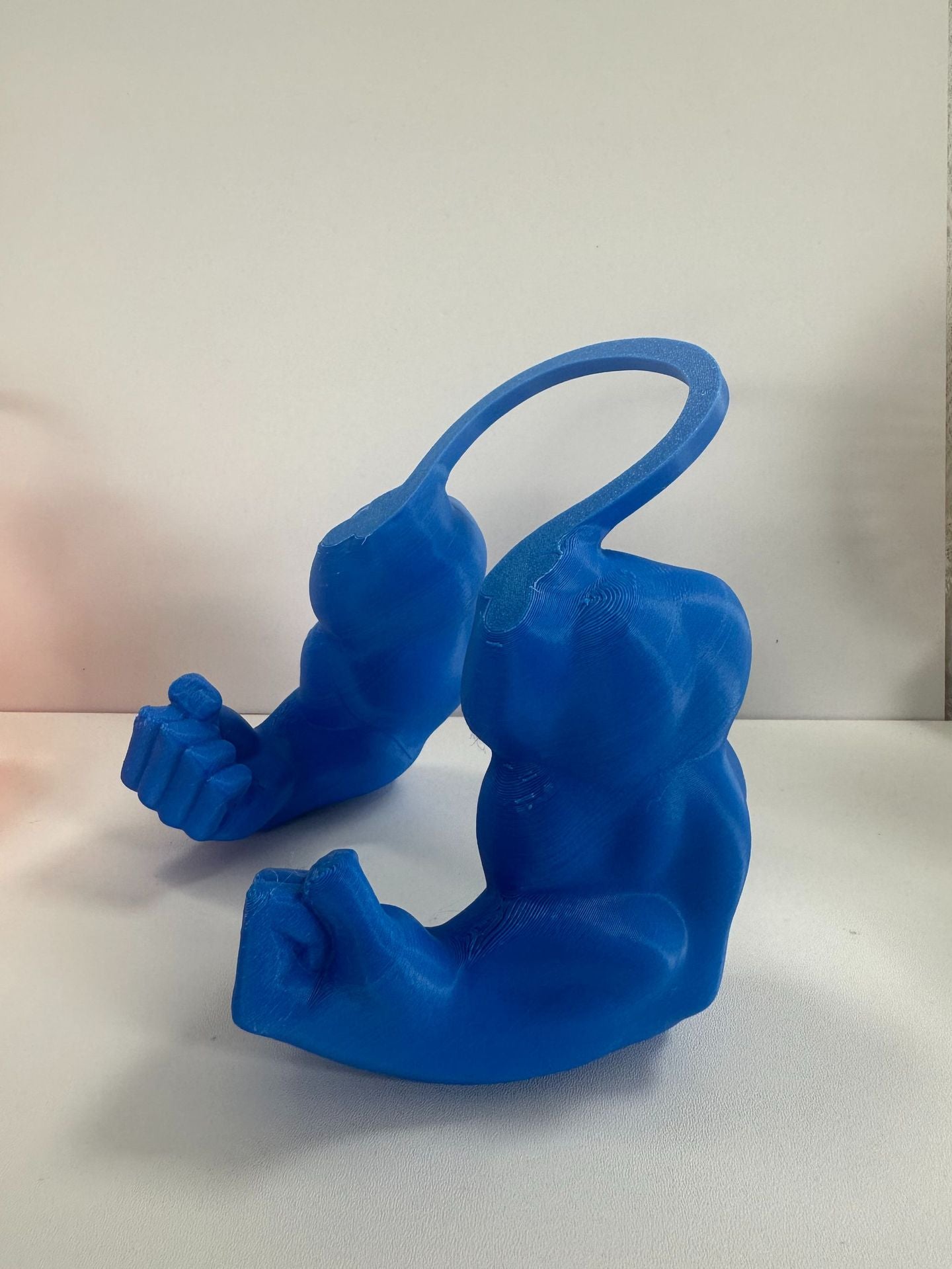 The Pet Toy Fist - Interactive Training Fist for Cats & Kittens