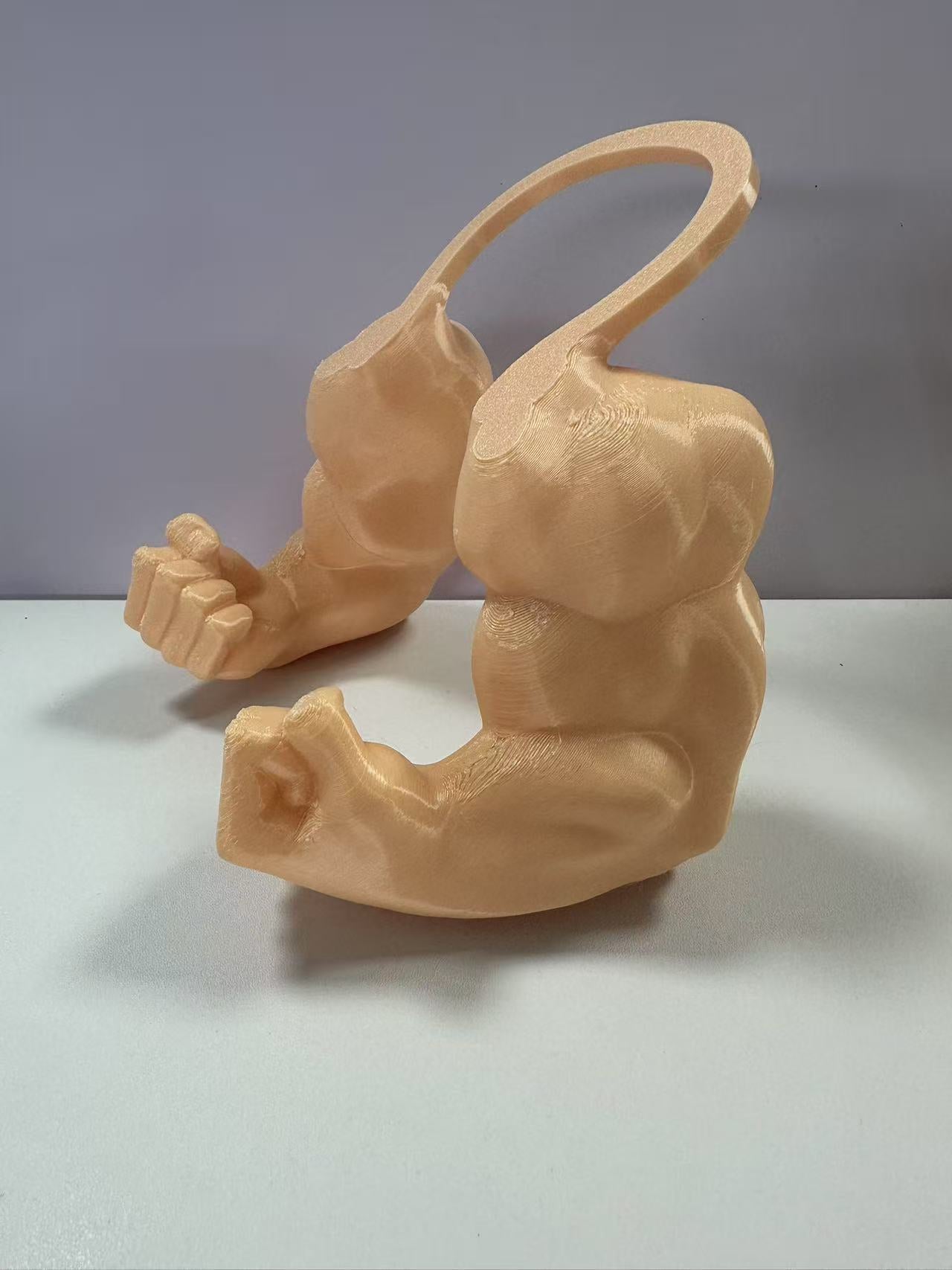 The Pet Toy Fist - Interactive Training Fist for Cats & Kittens