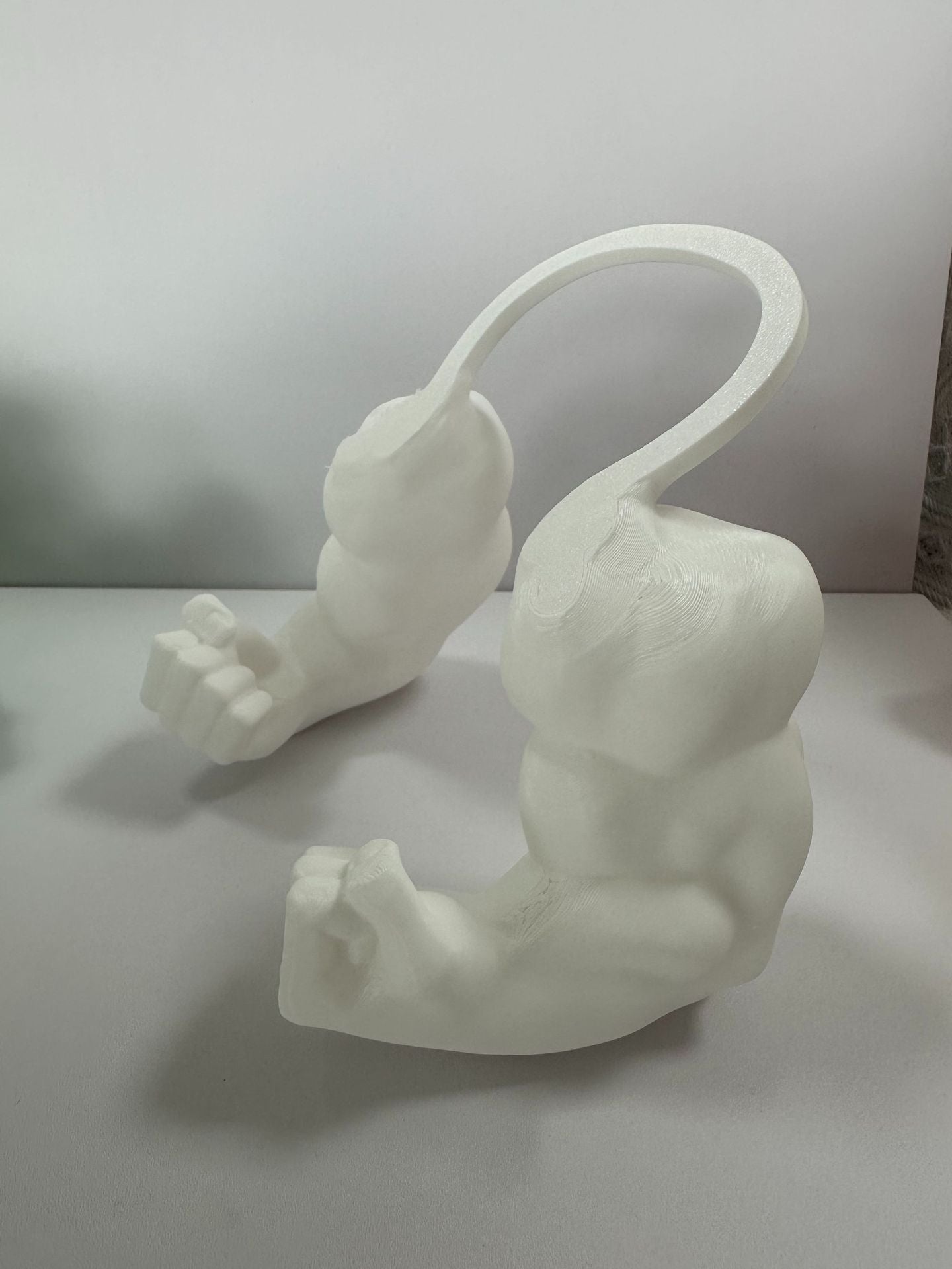 The Pet Toy Fist - Interactive Training Fist for Cats & Kittens