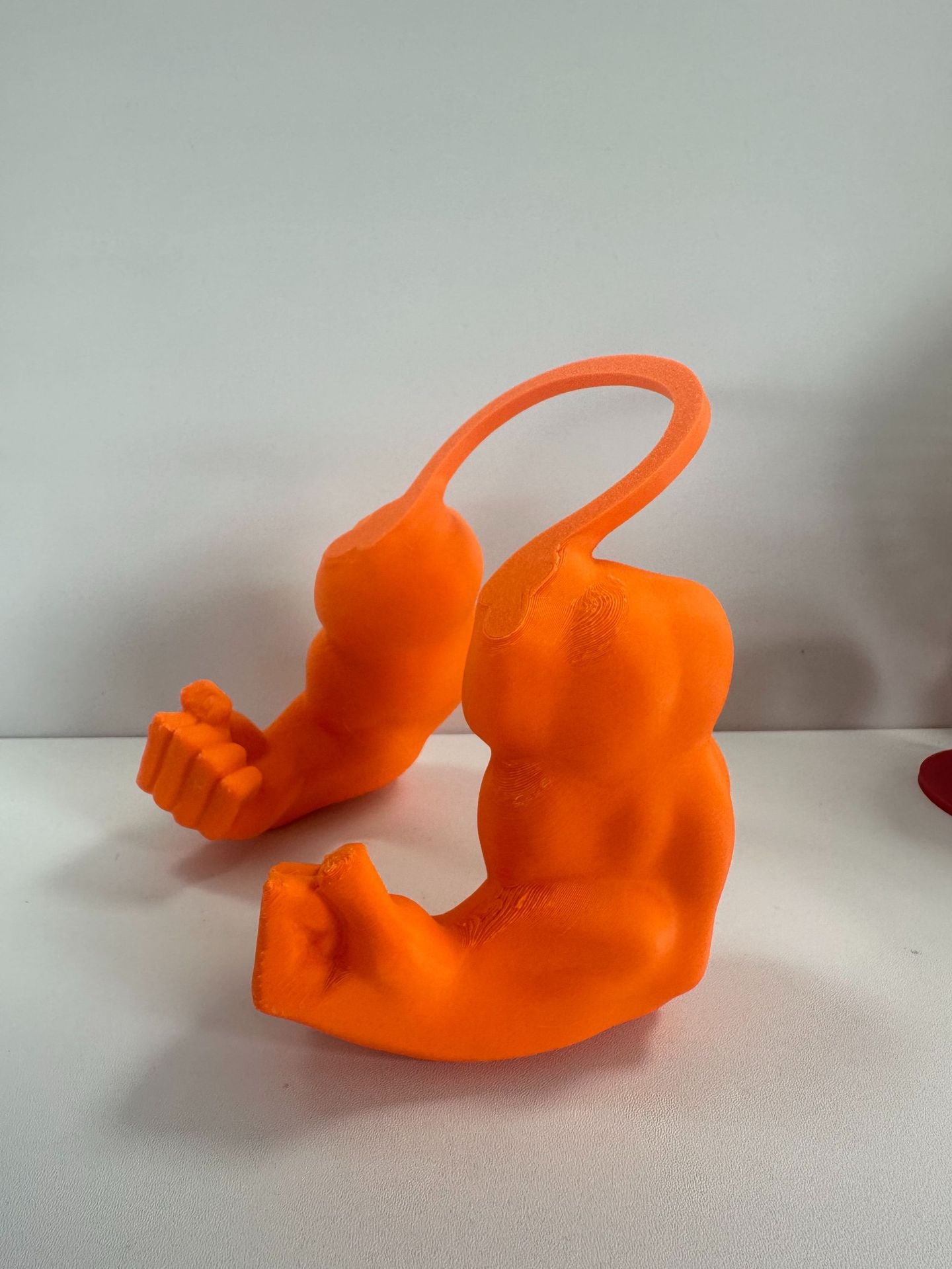 The Pet Toy Fist - Interactive Training Fist for Cats & Kittens