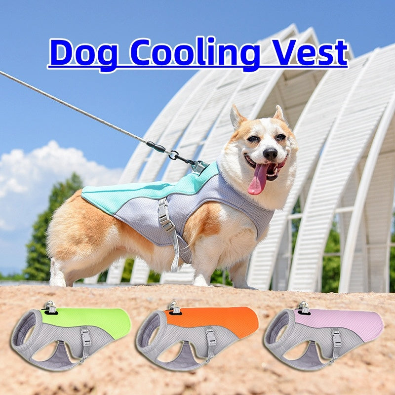 CoolPaw Vest: Keeps your dog cool and comfortable.
