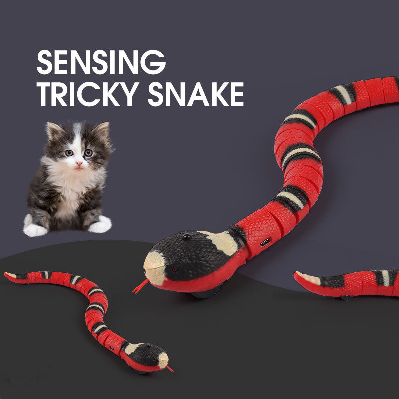 Wander Snake – Smart Induction Snake Toy for Cats (USB Rechargeable)