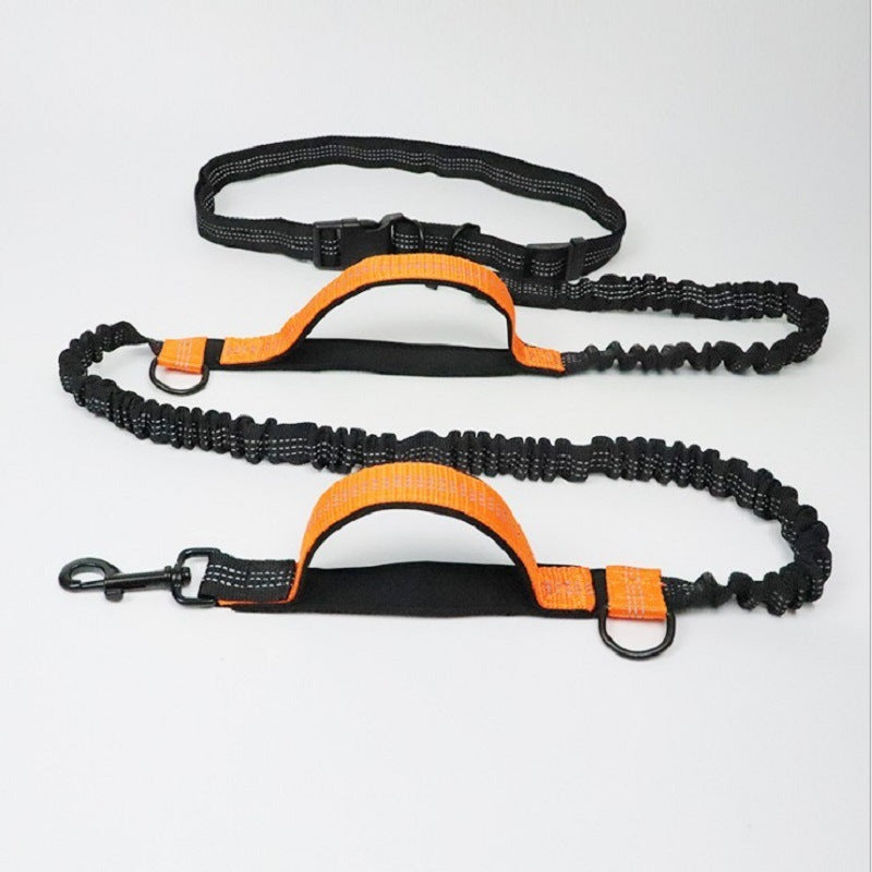 All-in-One Pet Traction Rope