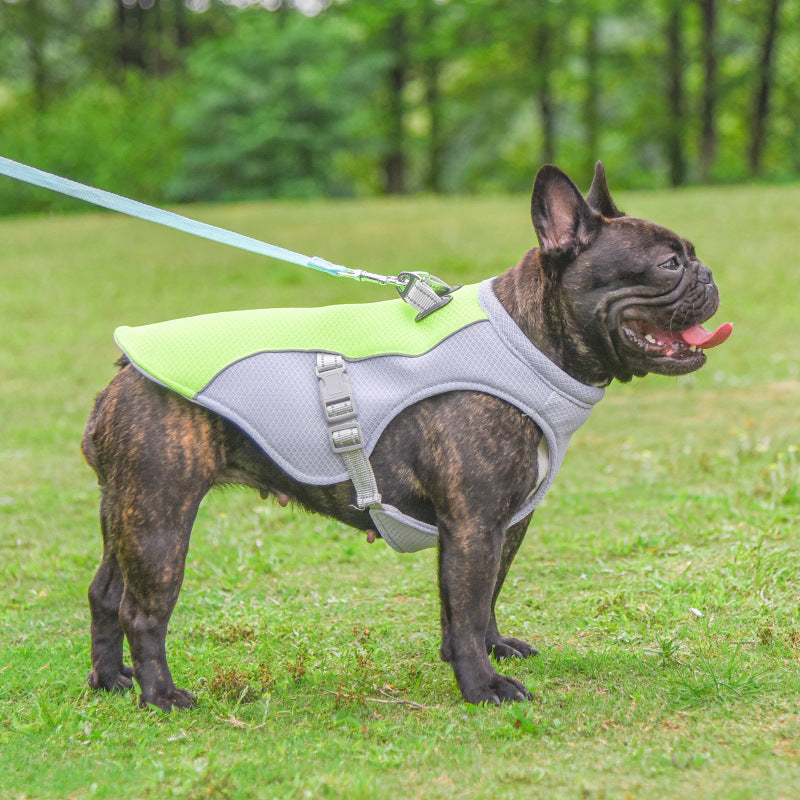 CoolPaw Vest: Keeps your dog cool and comfortable.