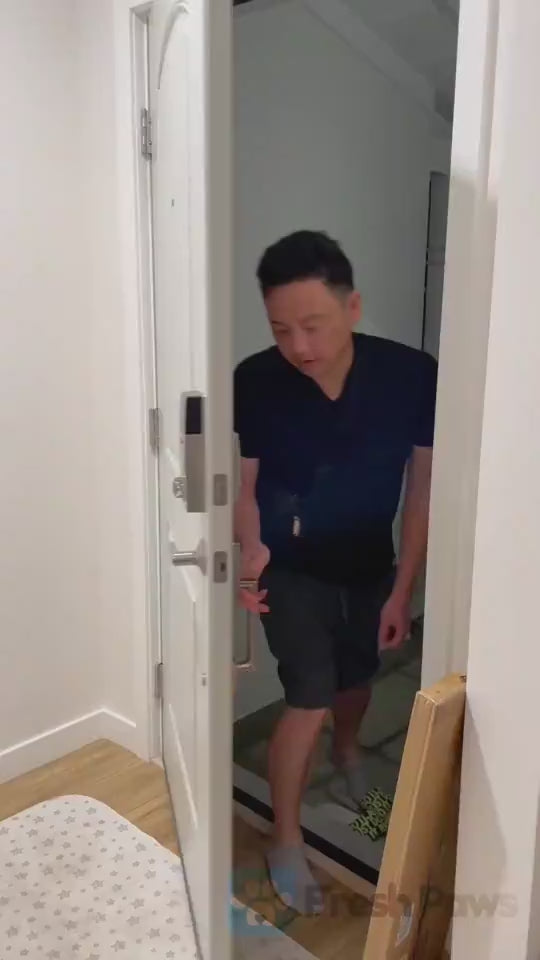 1.mp4